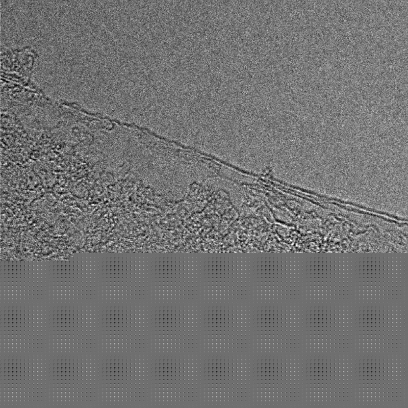 165848_736295_procont.png