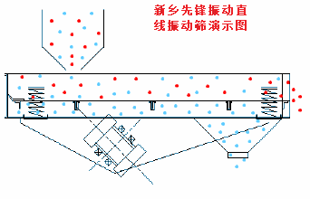直線振動篩運行圖